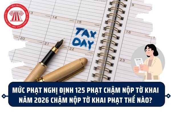 Pháp luật