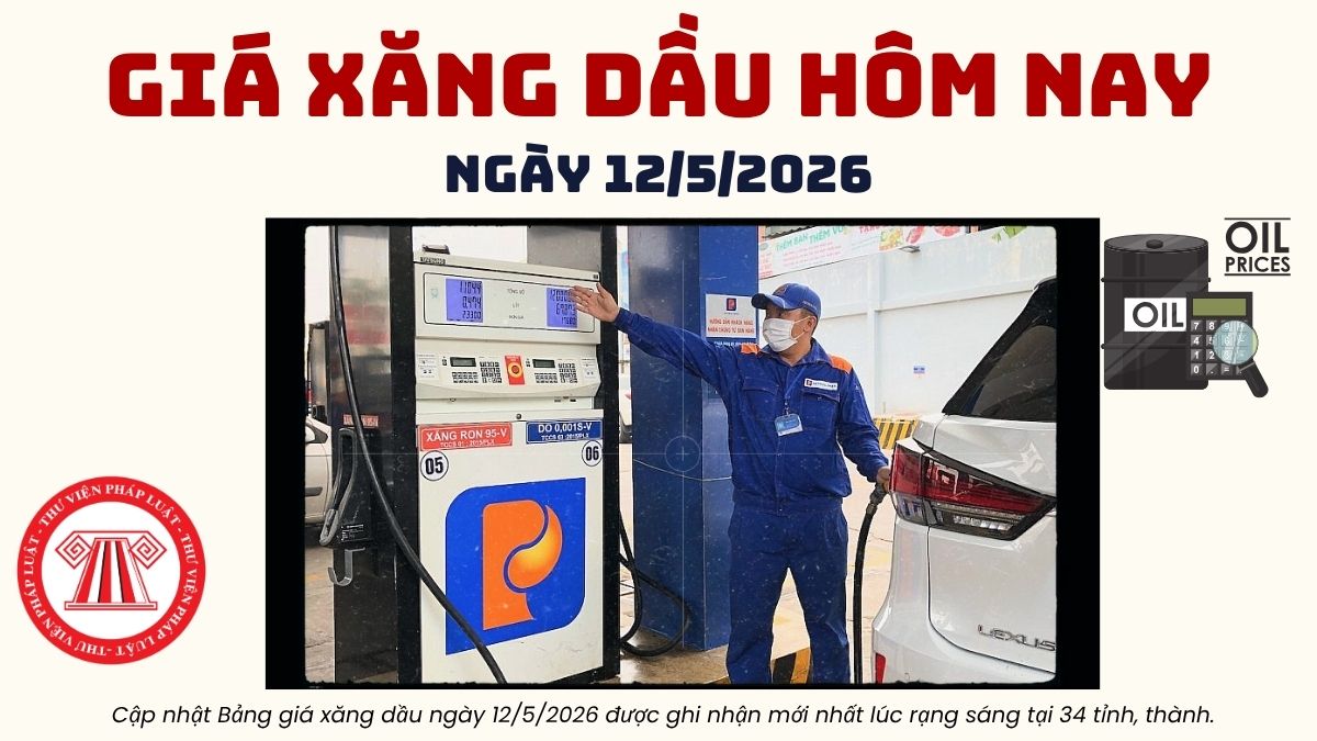 Pháp luật