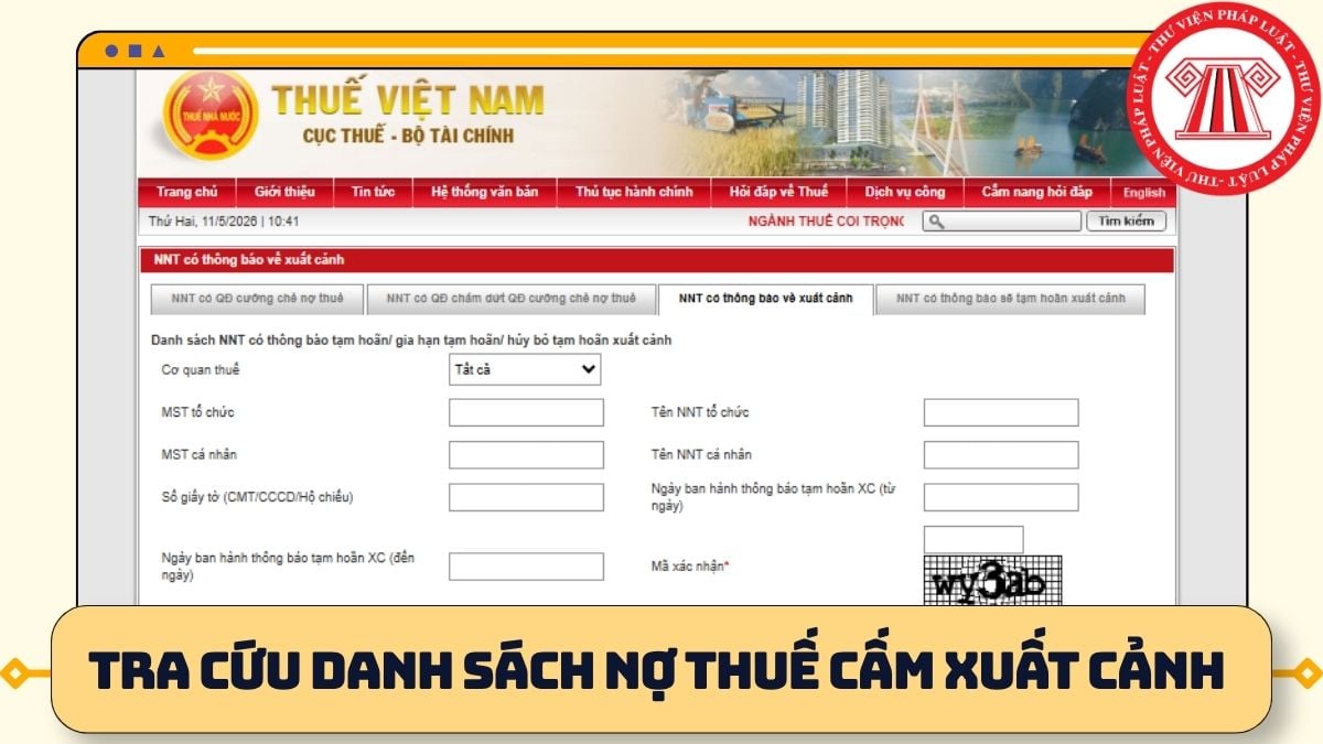 Pháp luật