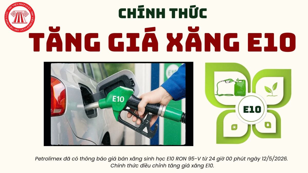 Pháp luật