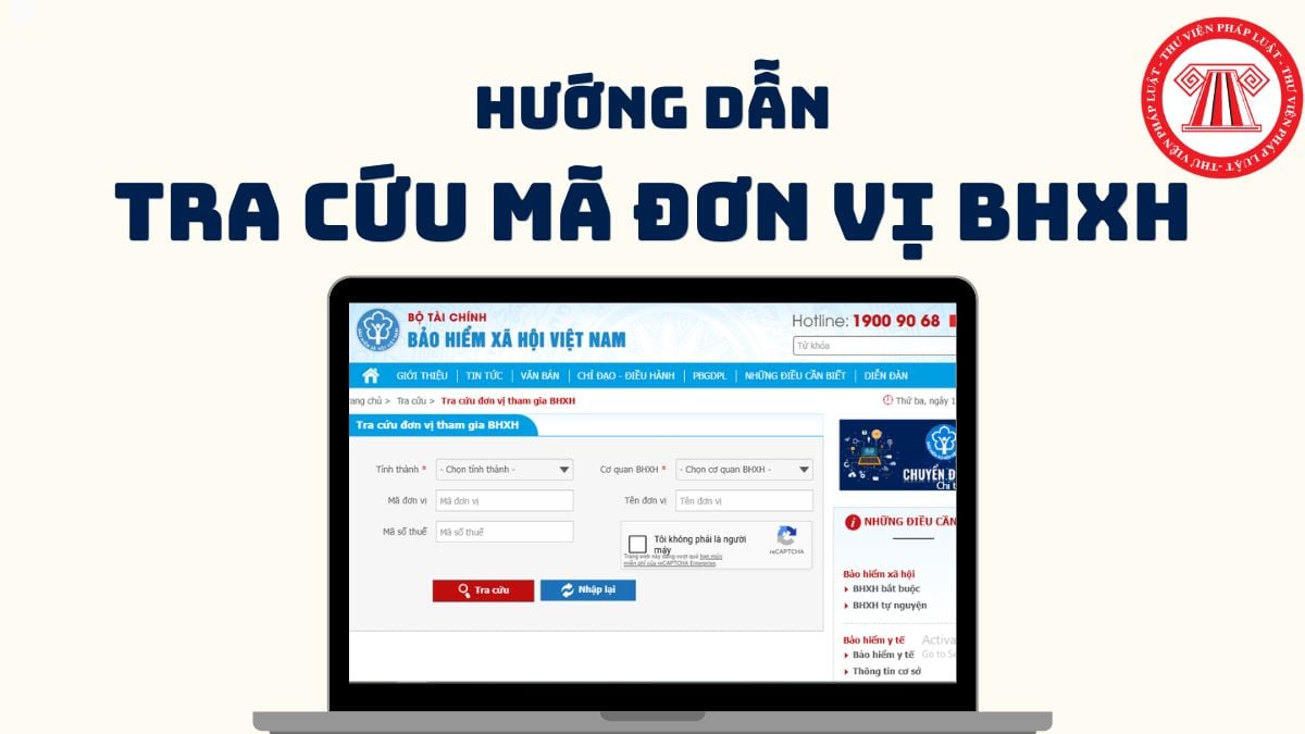 Pháp luật