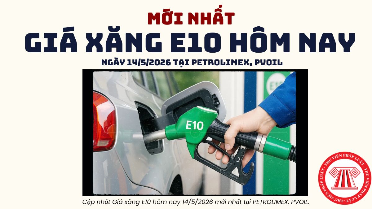 Pháp luật