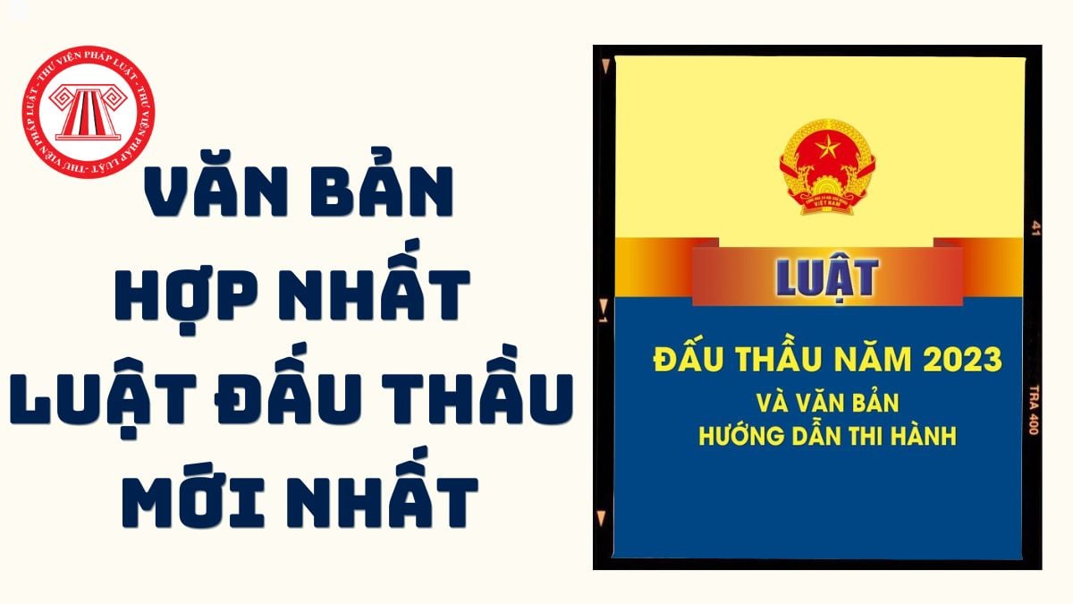 Pháp luật