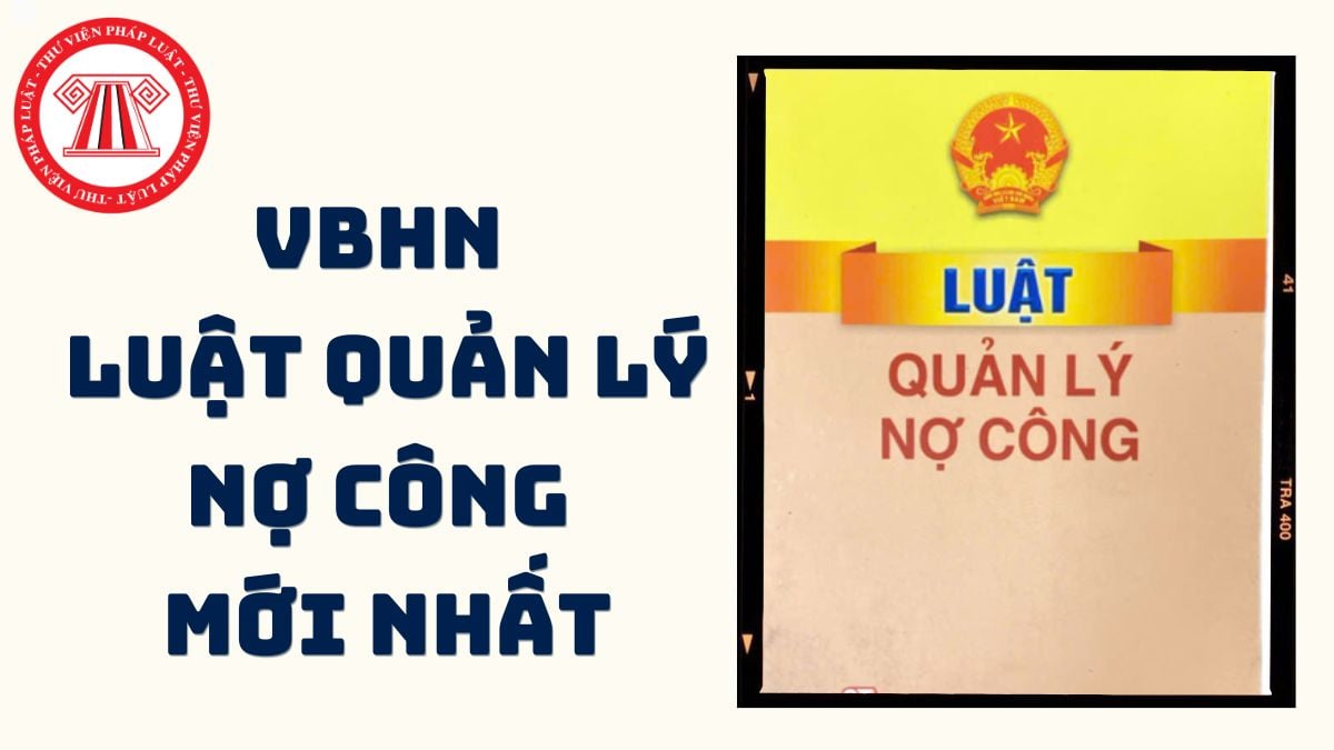 Pháp luật