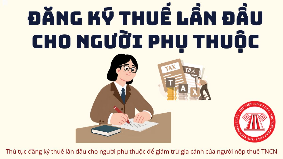 Pháp luật
