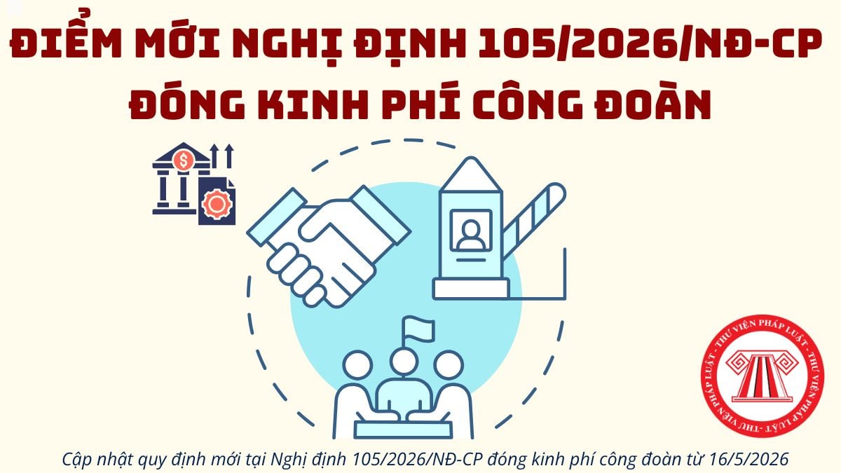 Pháp luật