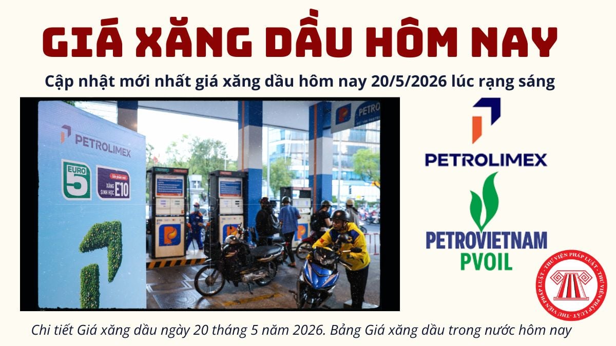 Pháp luật