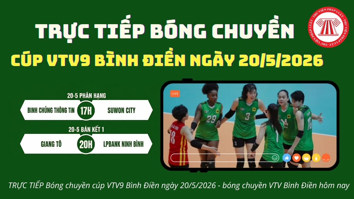 Pháp luật