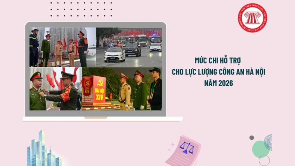 Pháp luật