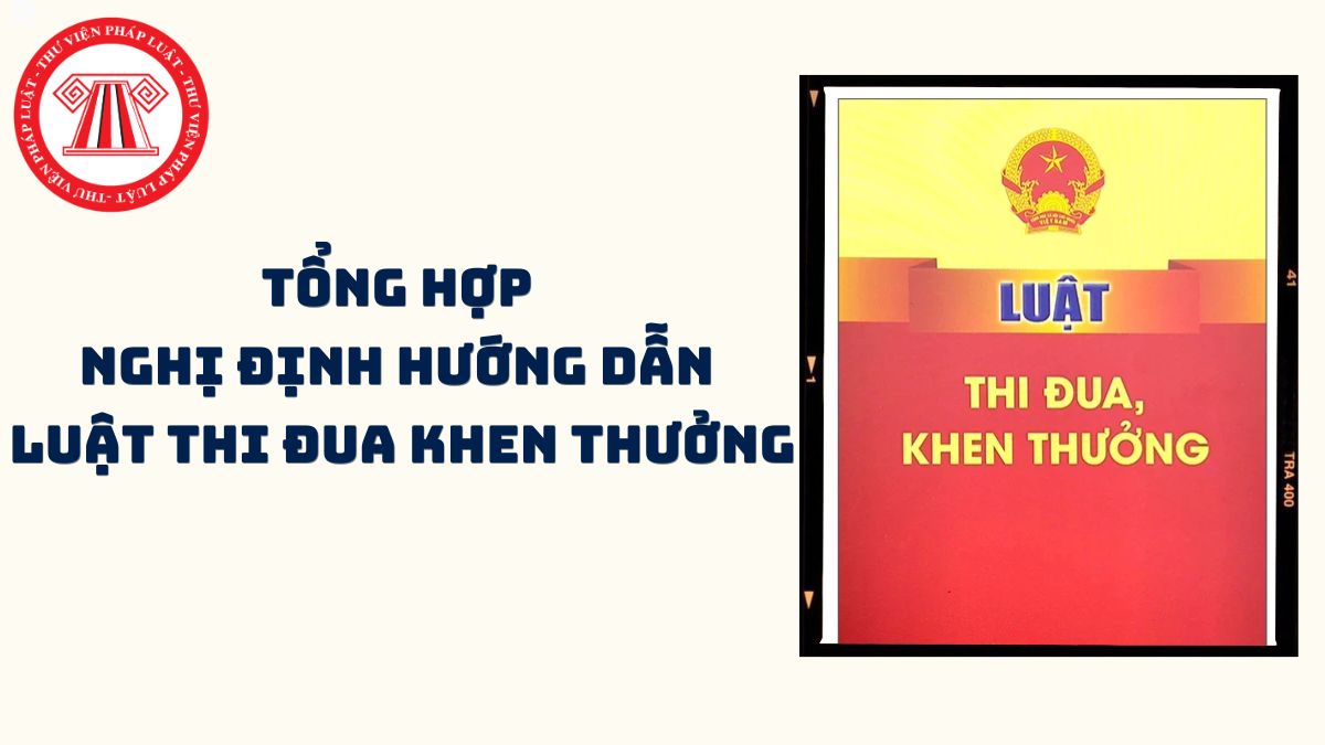 Pháp luật