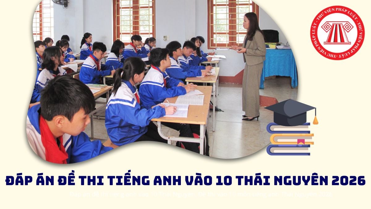 Pháp luật