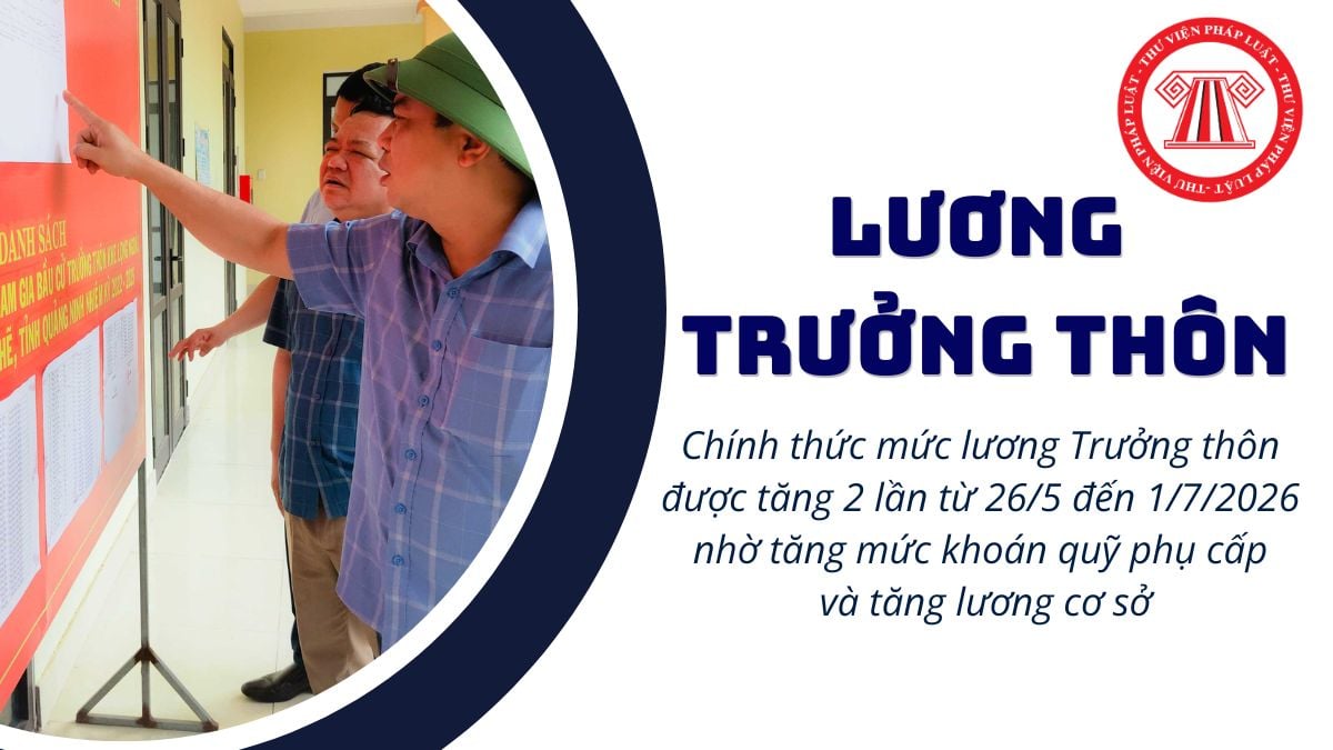 Pháp luật
