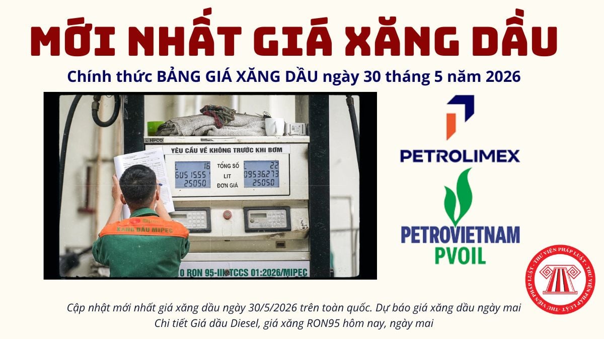 Pháp luật