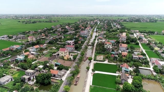 Pháp luật