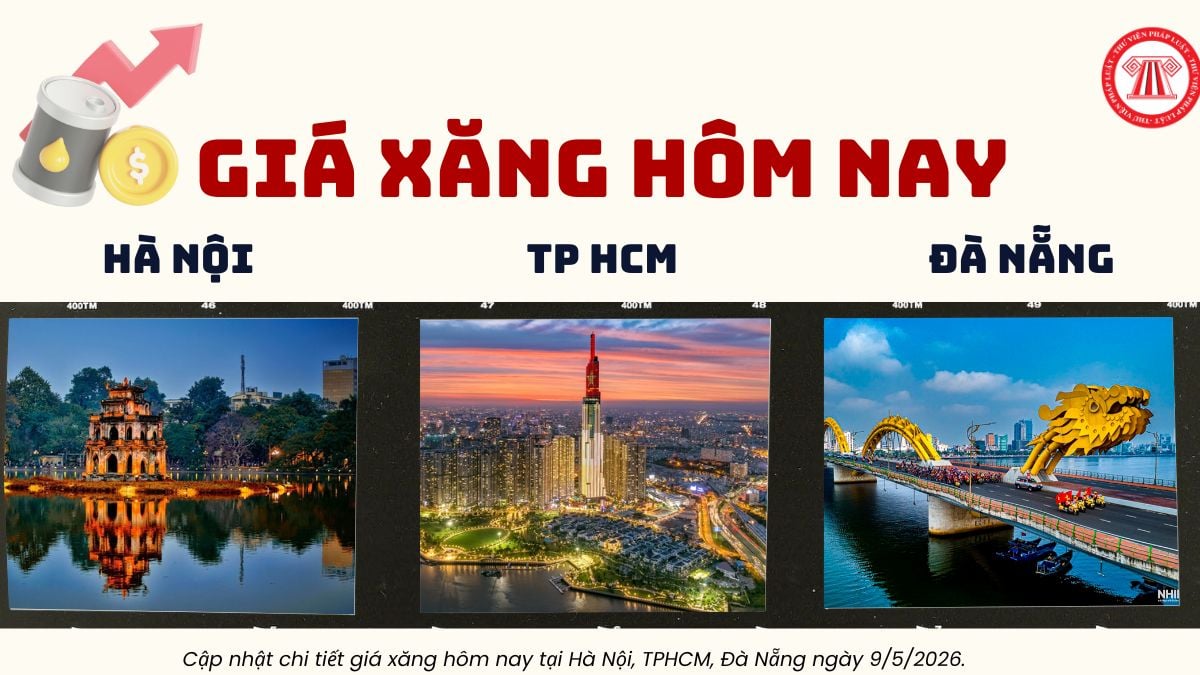 Pháp luật