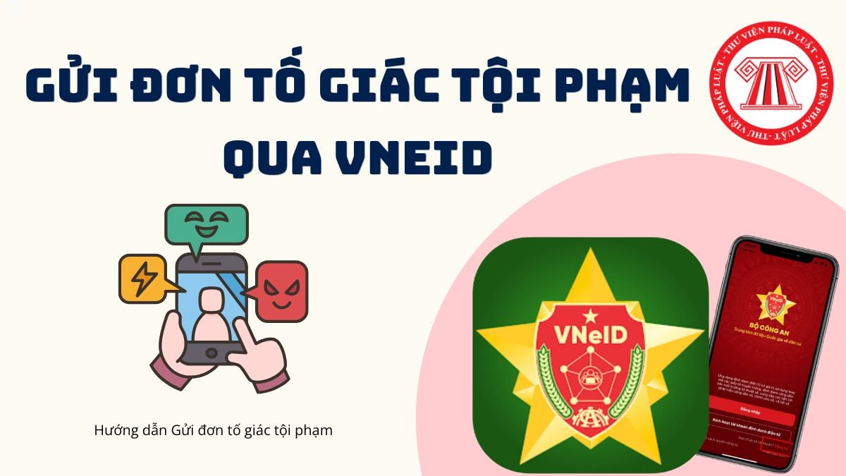 Pháp luật