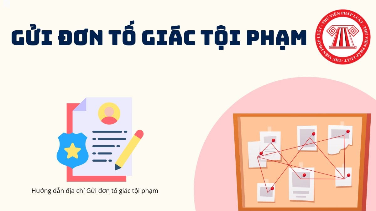 Pháp luật