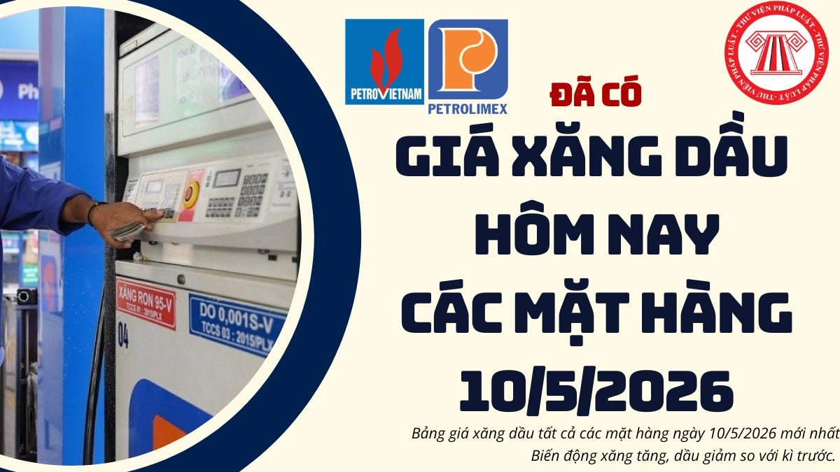 Pháp luật