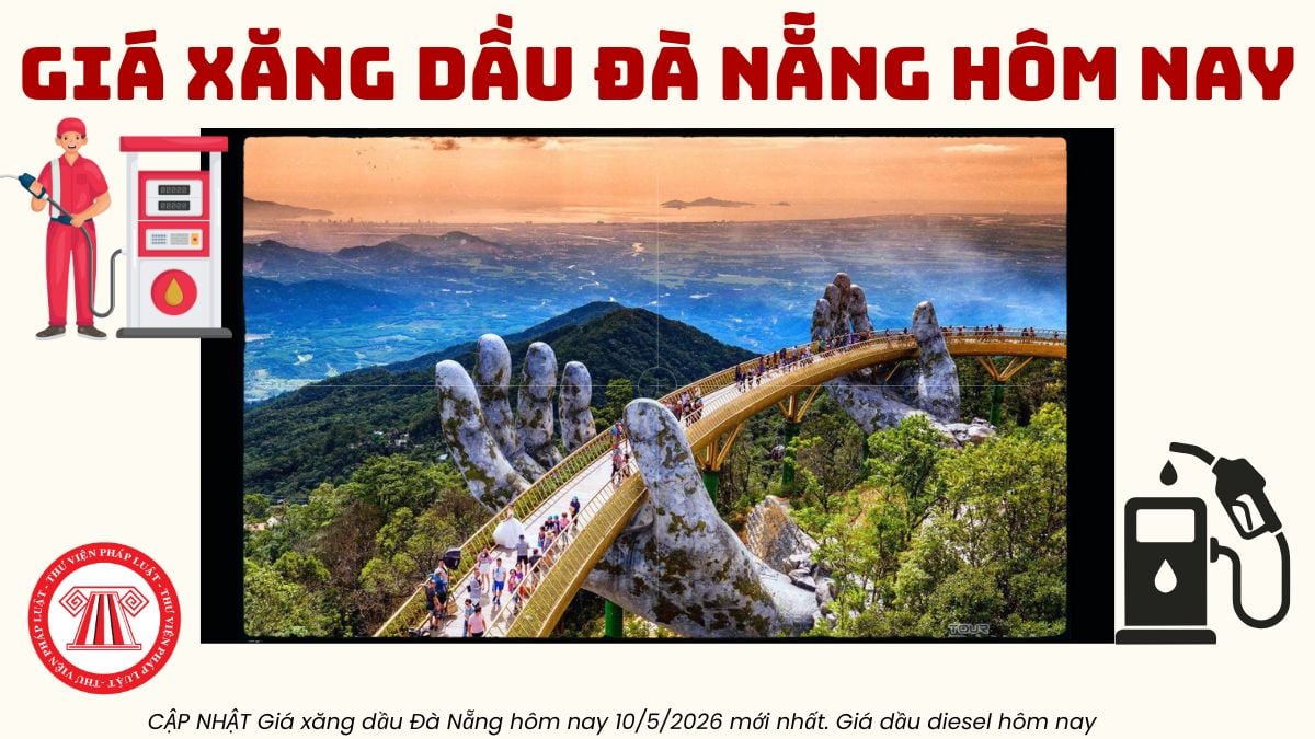 Pháp luật