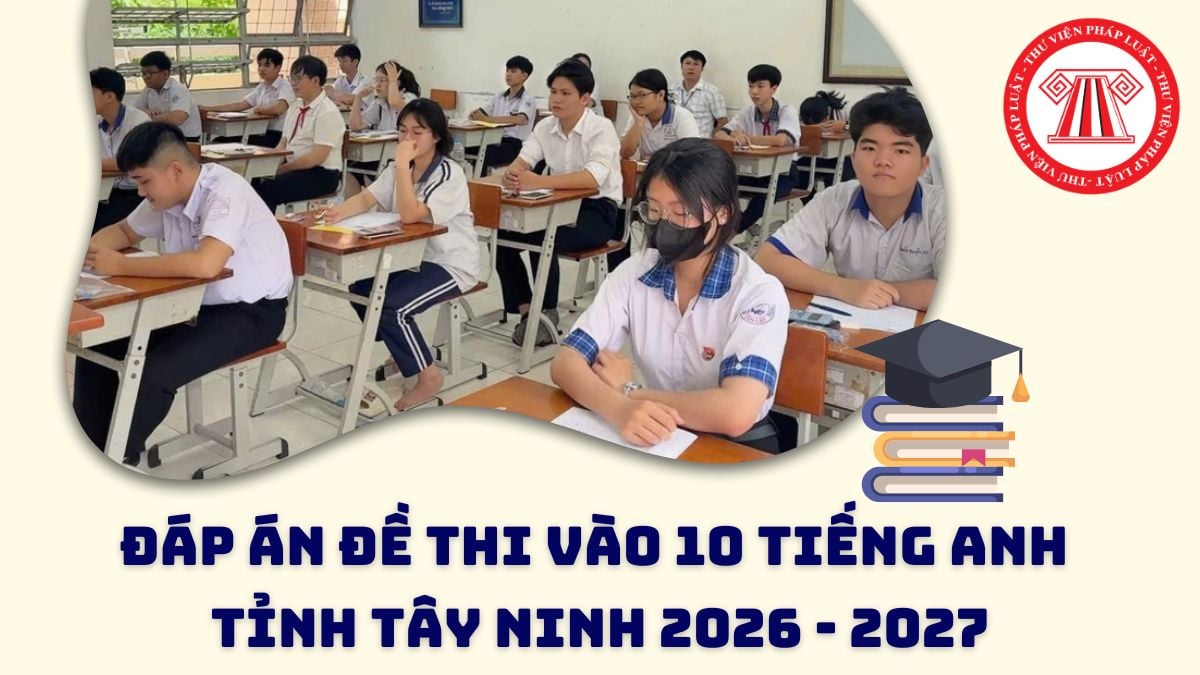 Pháp luật