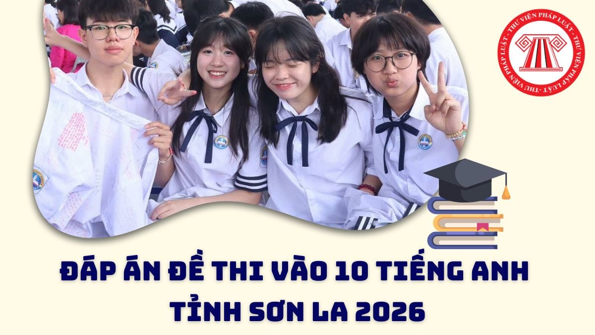 Pháp luật