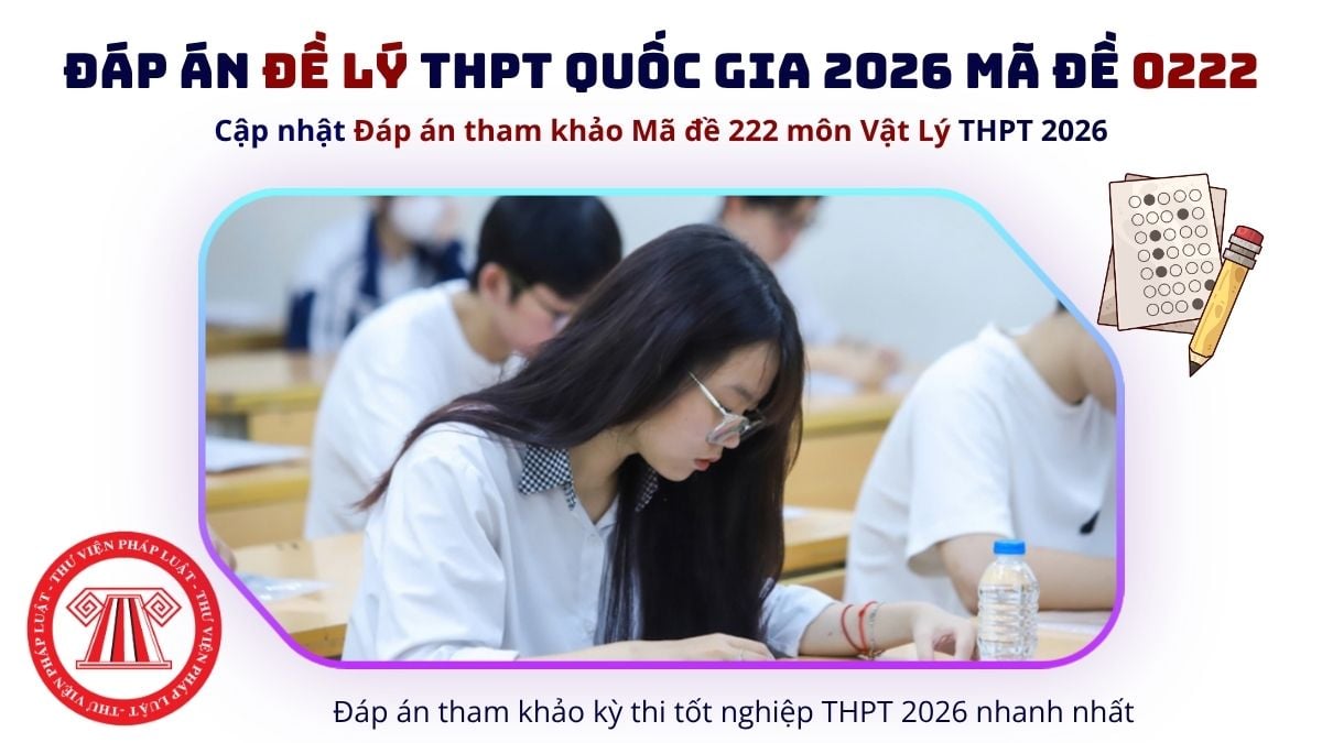 Pháp luật