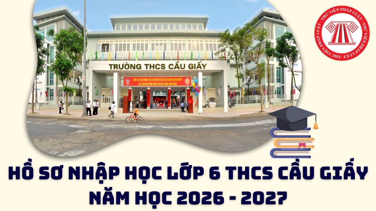 Pháp luật