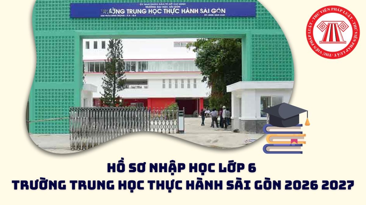 Pháp luật