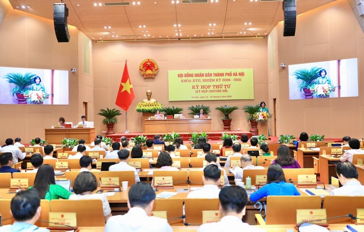 Pháp luật