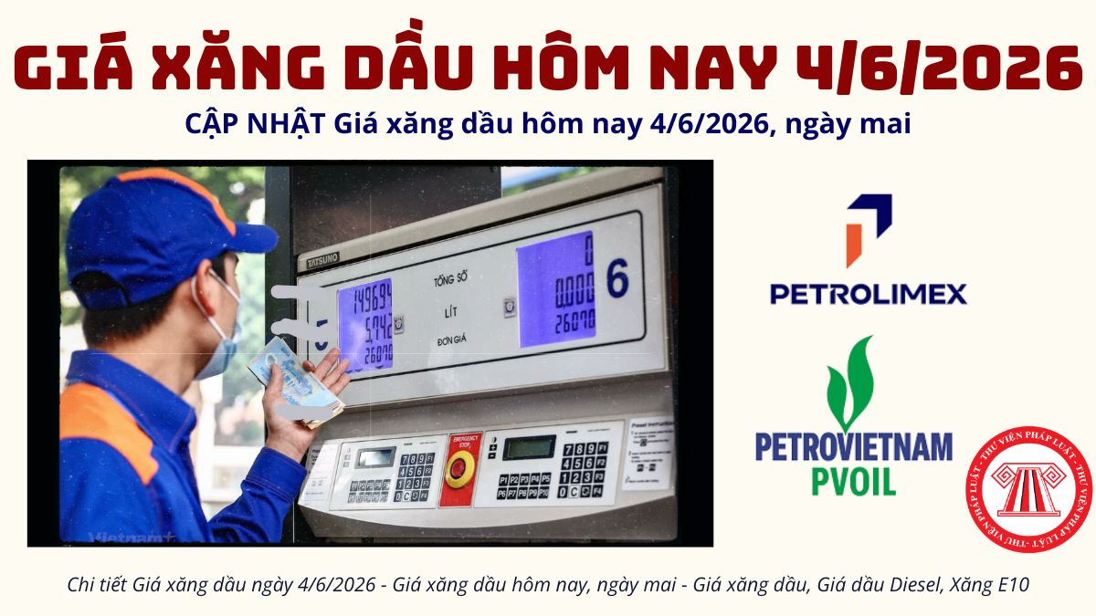 Pháp luật