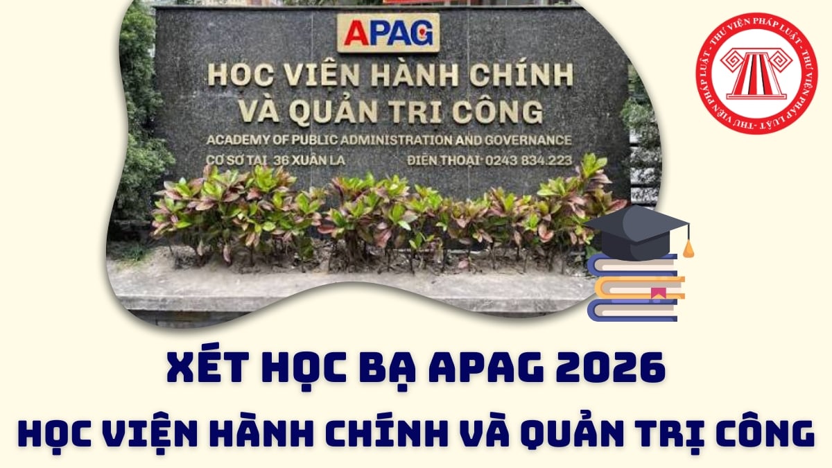 Pháp luật