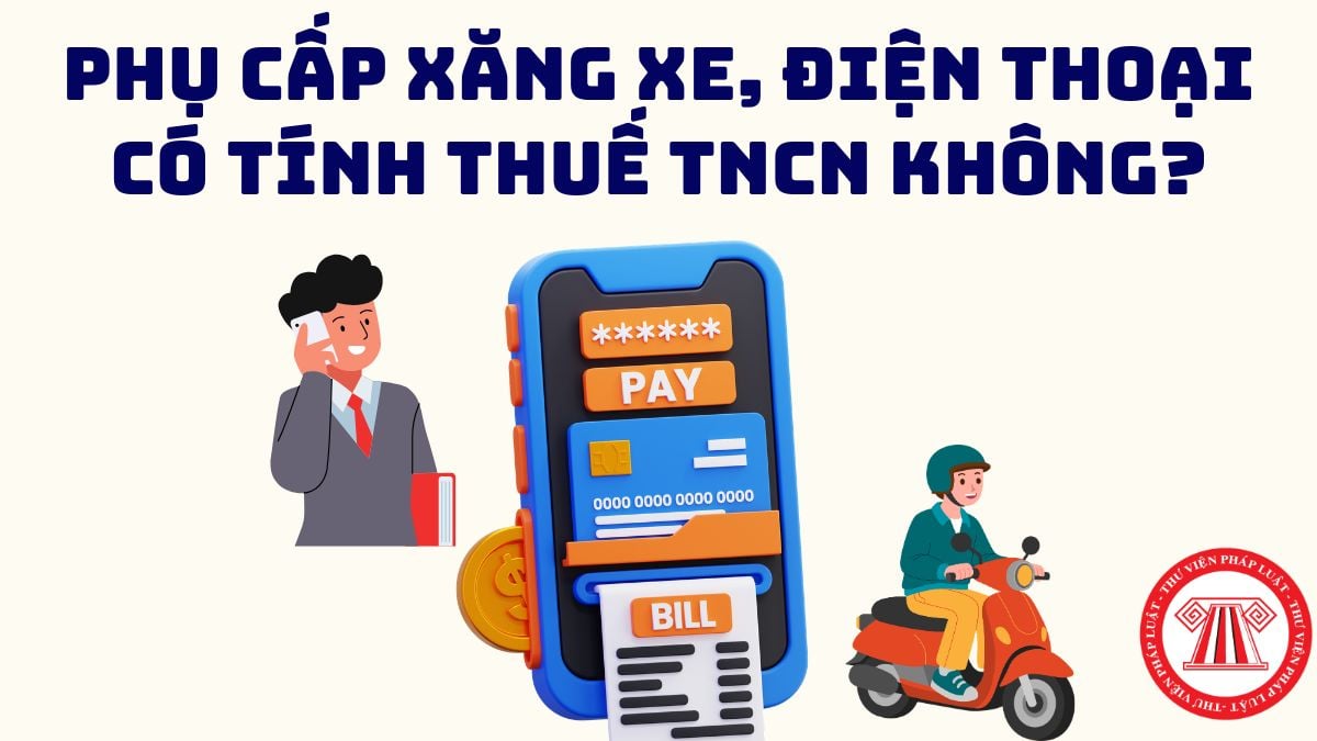 Pháp luật