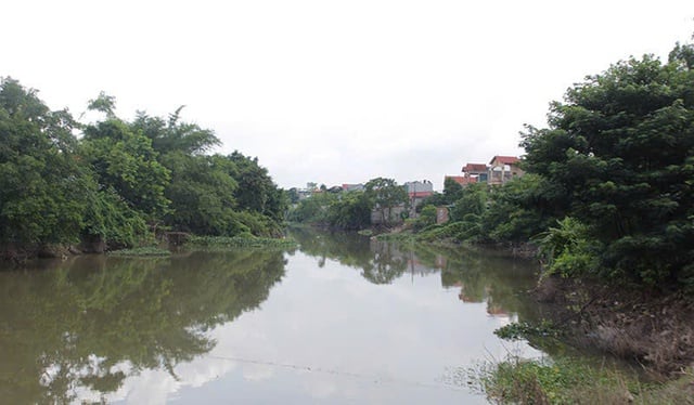 Pháp luật