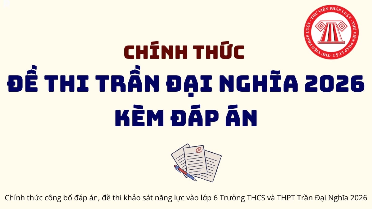 Pháp luật