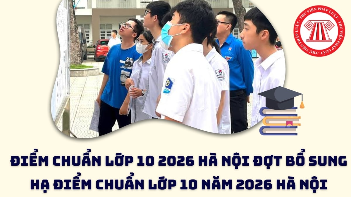 Pháp luật