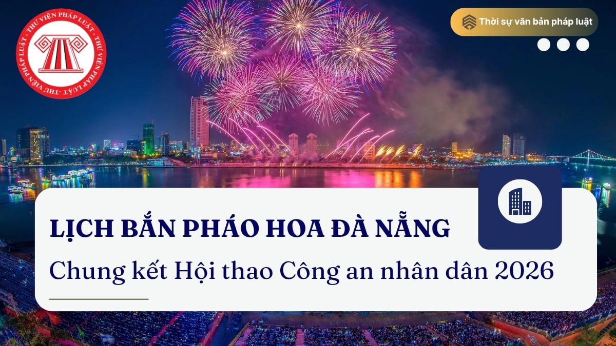 Pháp luật