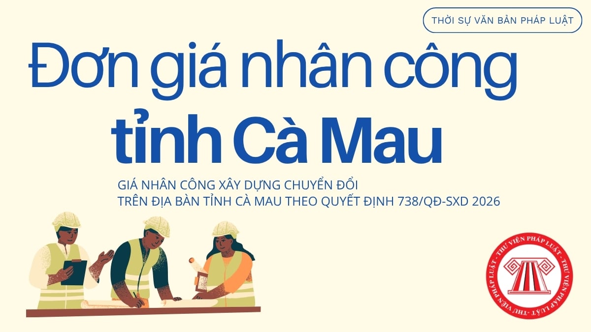 Pháp luật