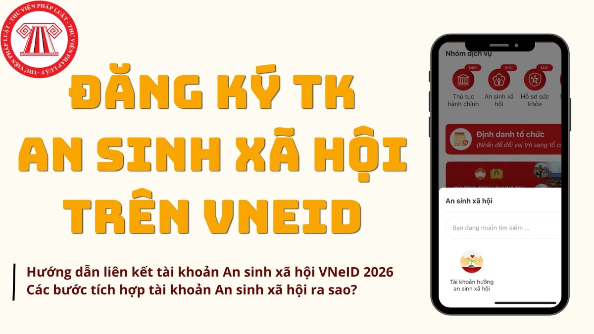 Pháp luật