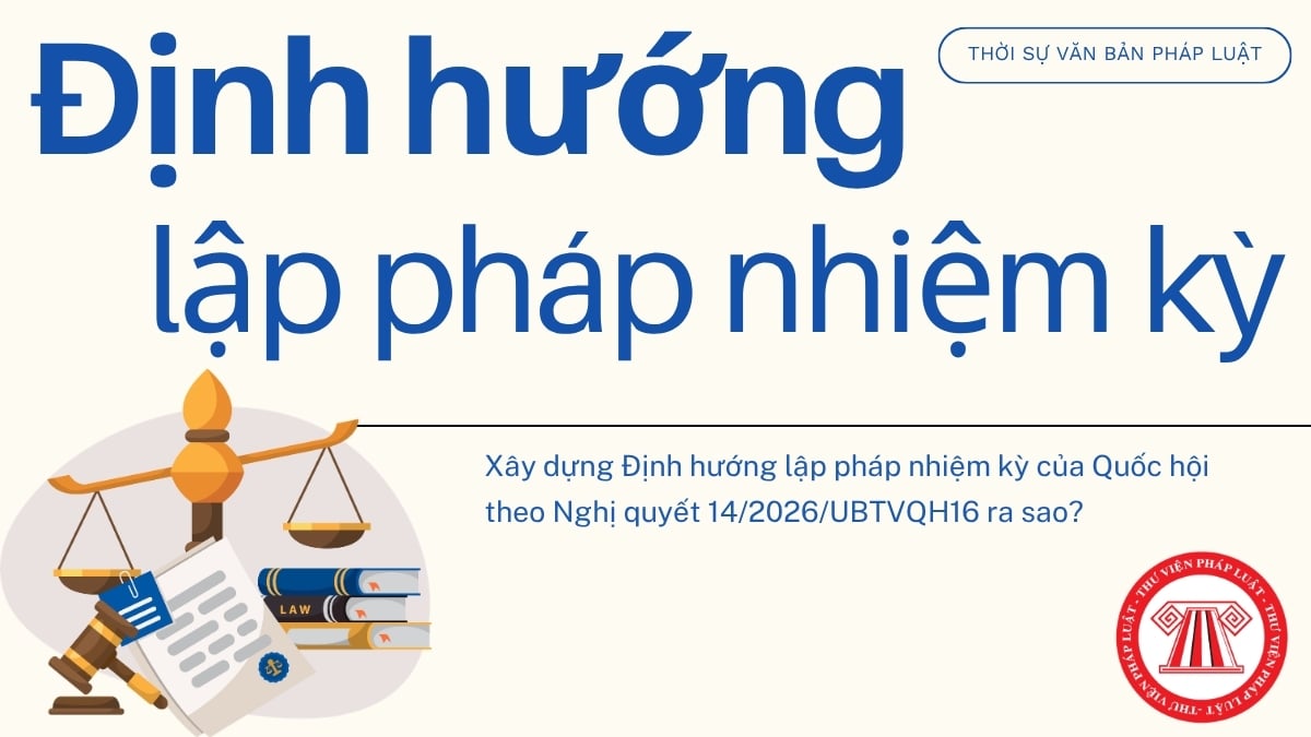 Pháp luật