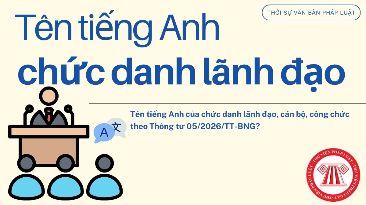 Pháp luật