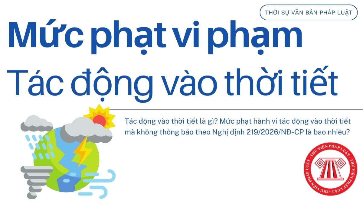 Pháp luật