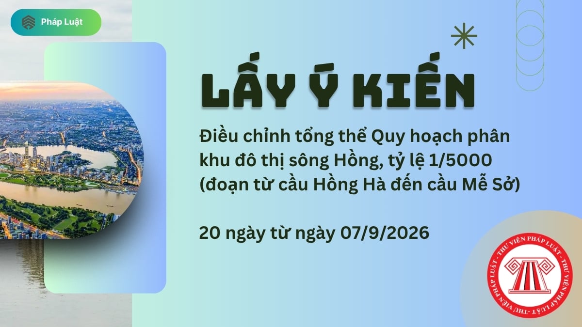Pháp luật