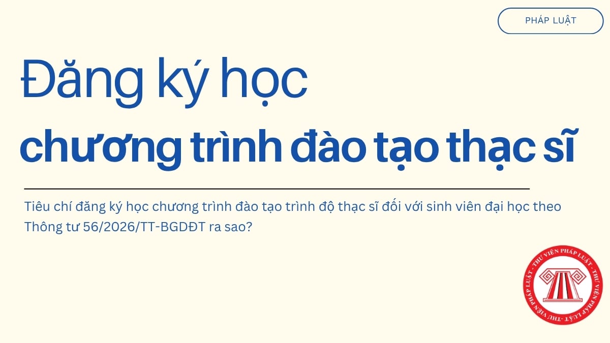 Pháp luật