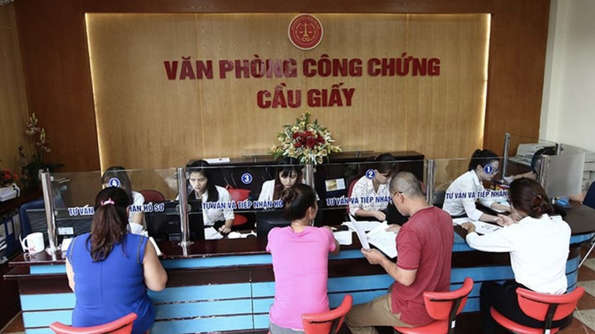 Pháp luật