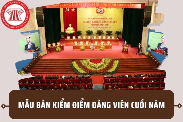 02 Mẫu Bản kiểm điểm Đảng viên cuối năm 02A và 02B mới nhất? Cách viết bản kiểm kiểm chi tiết?