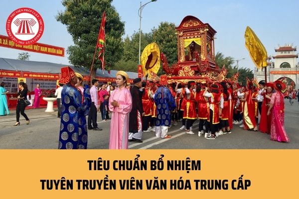 03 Tiêu chuẩn bổ nhiệm tuyên truyền viên văn hóa trung cấp ra sao? Tuyên truyền viên văn hóa trung cấp có những nhiệm vụ gì?