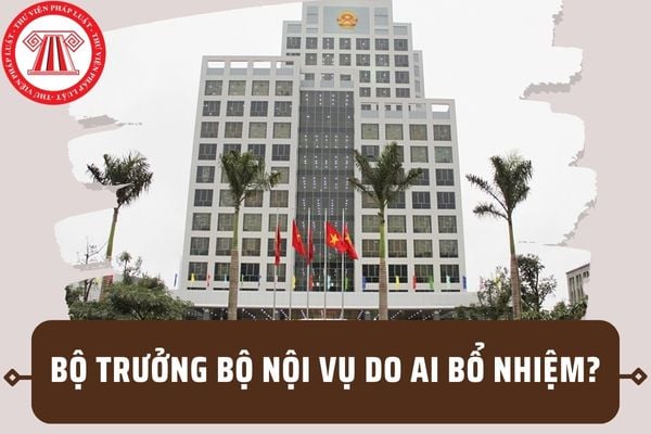 Bộ trưởng Bộ Nội vụ do ai bổ nhiệm? Bộ trưởng Bộ Nội vụ giải quyết những công việc gì theo quy định?