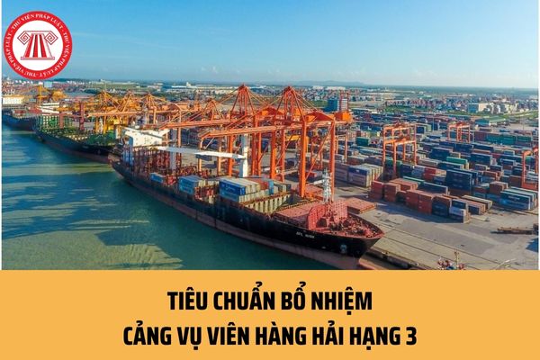 Để được bổ nhiệm làm Cảng vụ viên hàng hải hạng 3 cần đáp ứng những tiêu chuẩn, điều kiện nào?