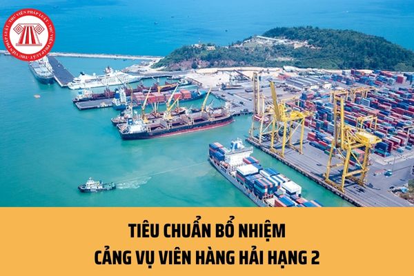 Cảng vụ viên hàng hải hạng 2 là ai? Tiêu chuẩn bổ nhiệm Cảng vụ viên hàng hải hạng 2 như thế nào?