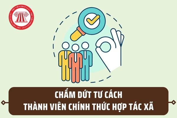 Có bị chấm dứt tư cách thành viên chính thức hợp tác xã nếu không sử dụng sản phẩm hợp tác xã trong thời gian liên tục?